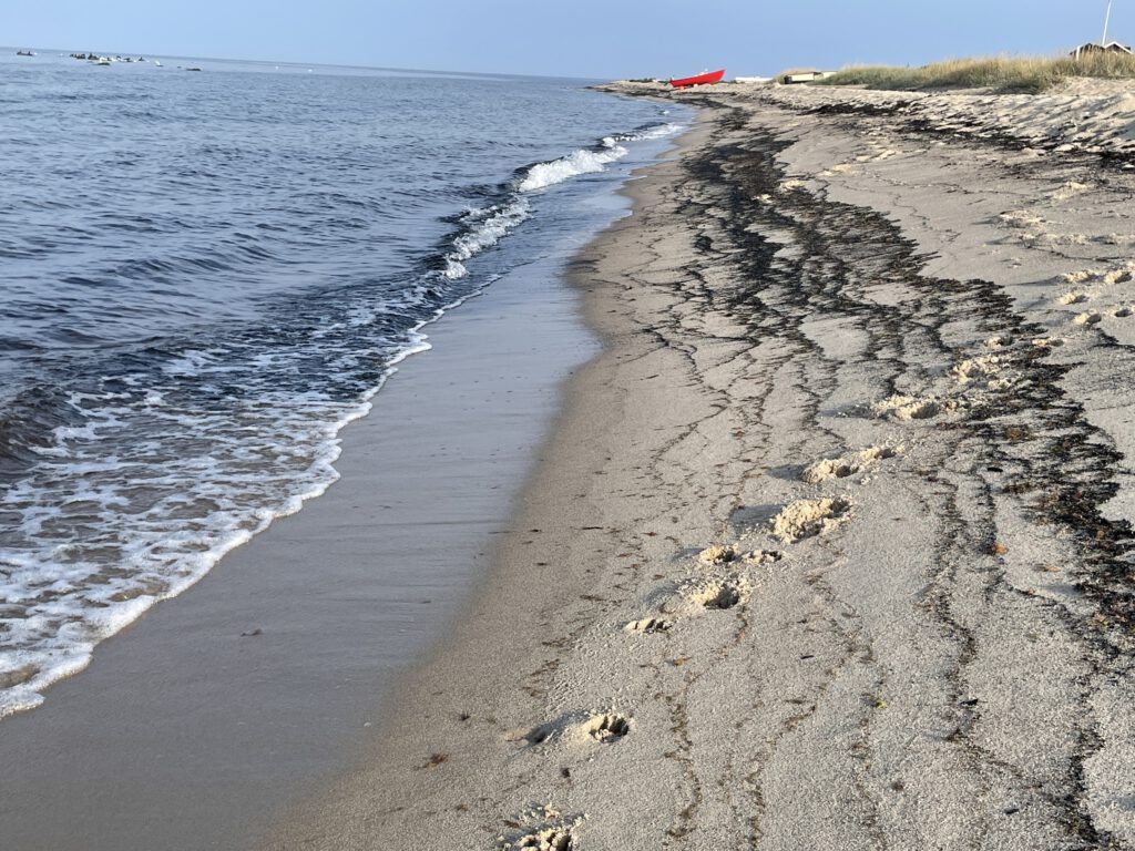 Vandbefalinger fra de lokale
