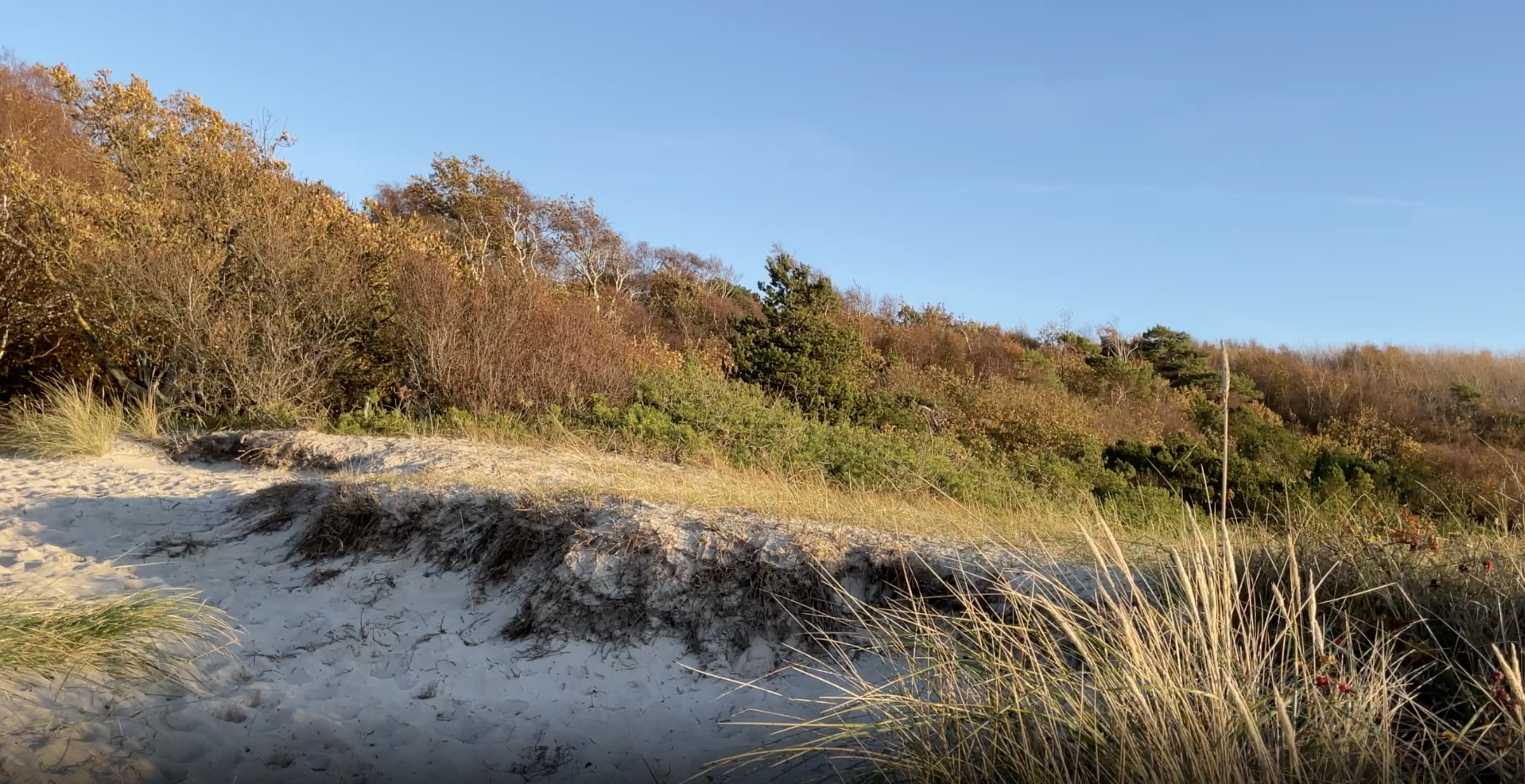En helt almindelig magisk efterårsdag