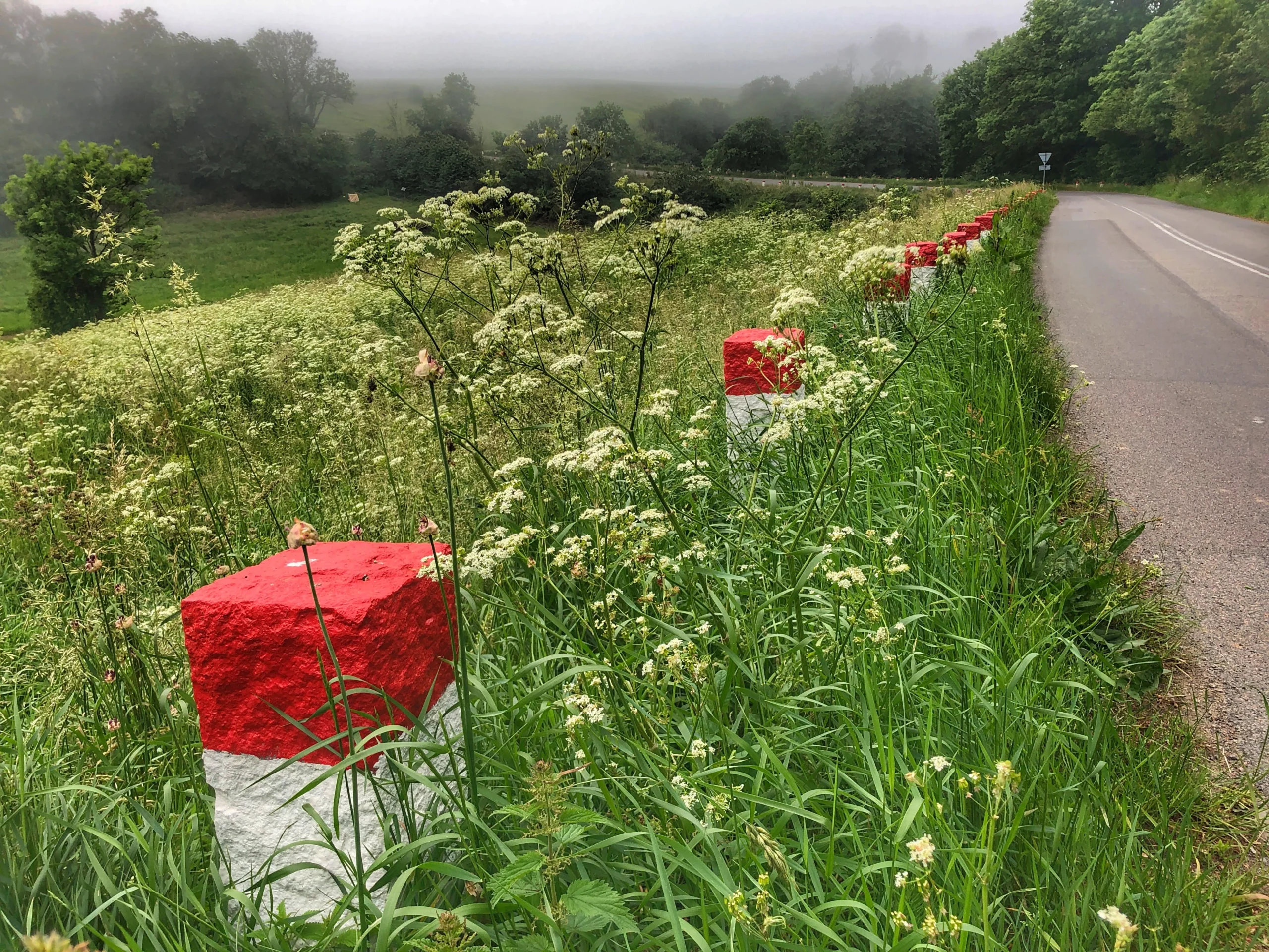 Rødhætterne længe leve