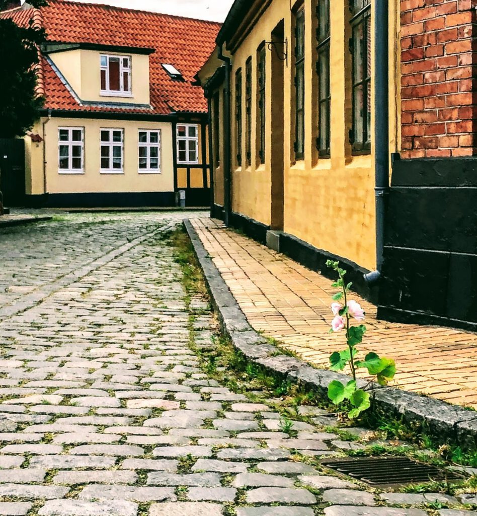 Rendestenspynt
