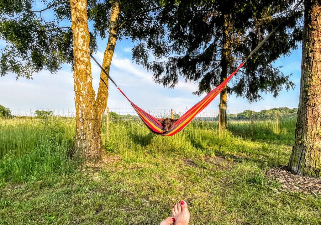Sommerferie hele tiden