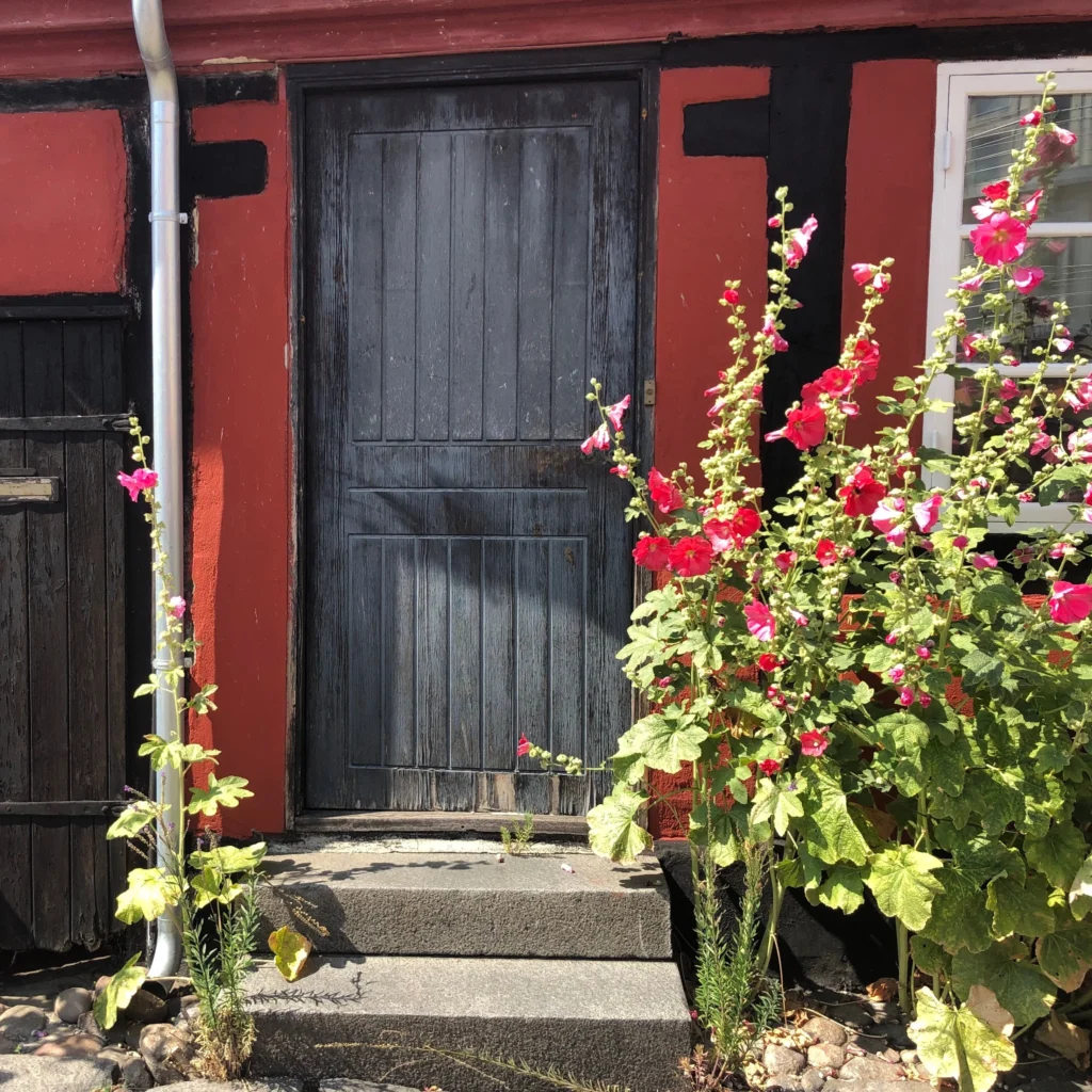 stokroser-får-man-nogensinde-nok-af-dem