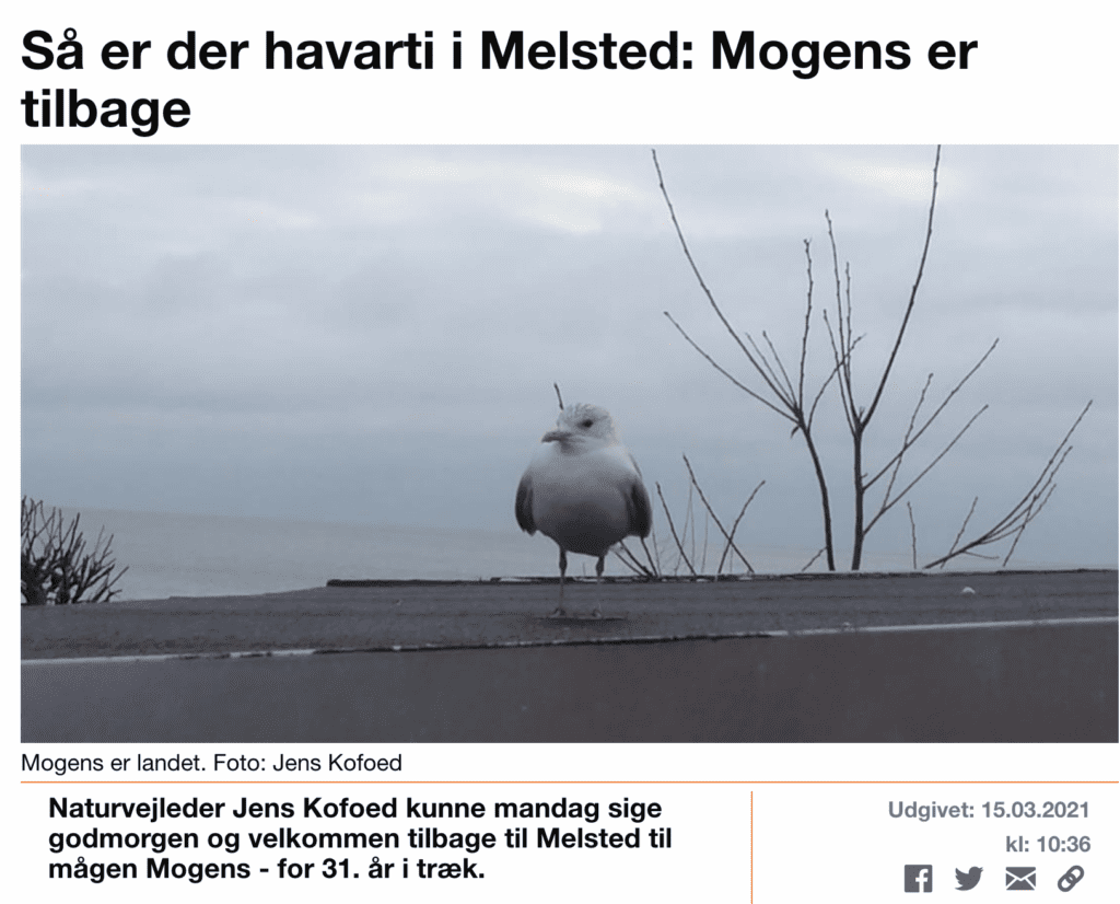 Mogens er tryghedsnarkoman