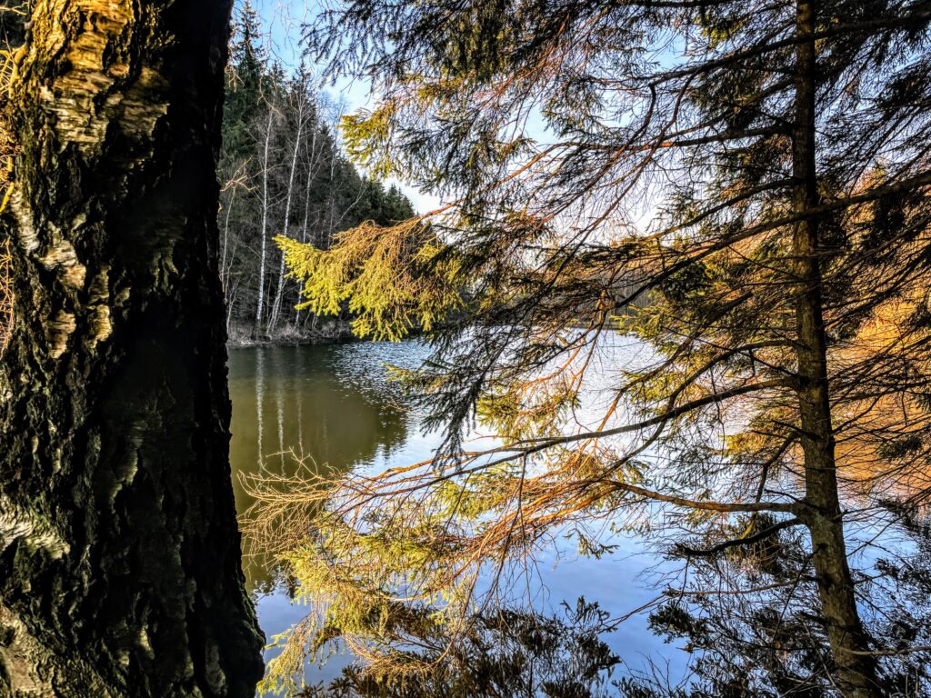Det skarpe, kolde vinterlys