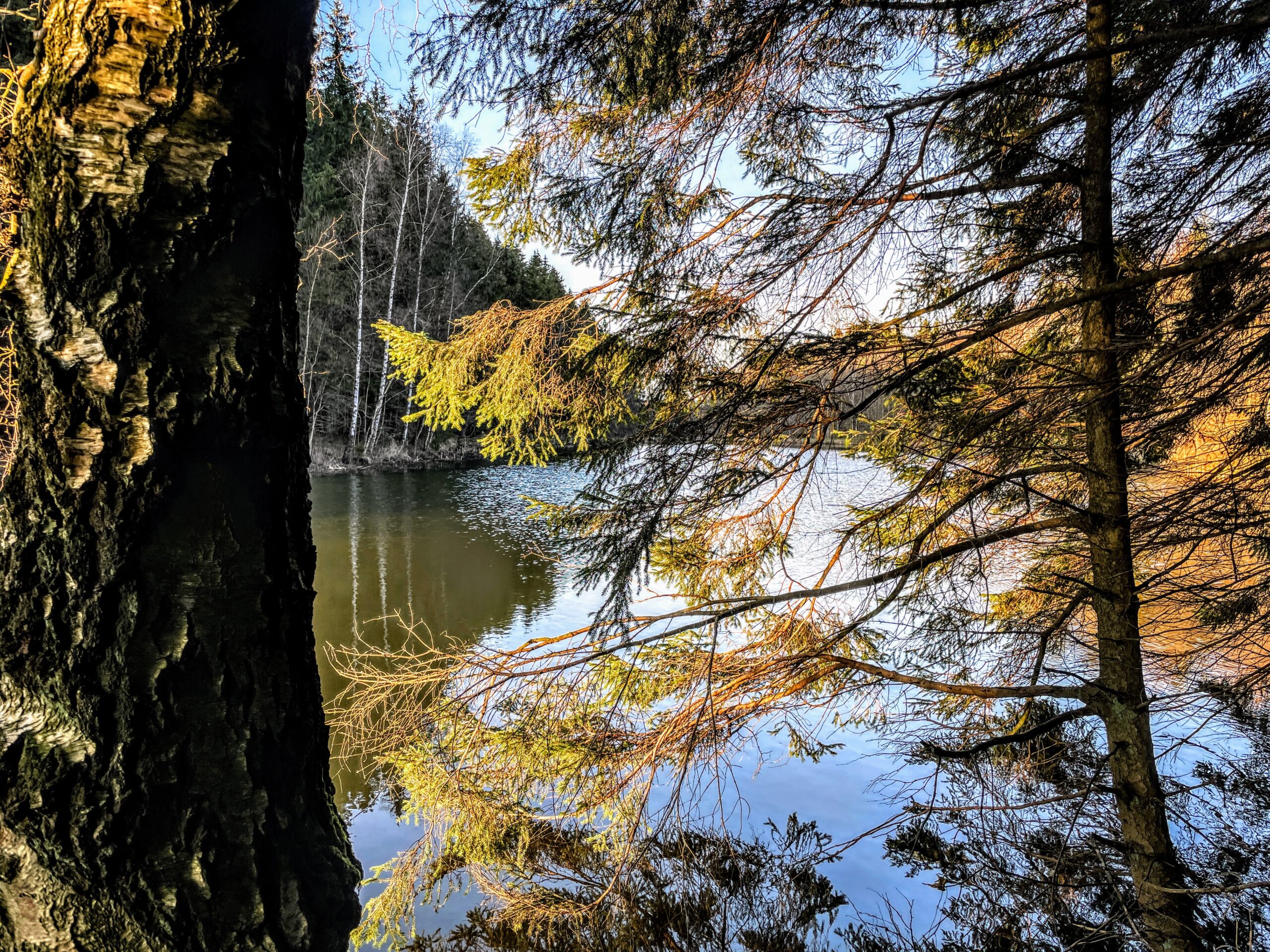 Det skarpe, kolde vinterlys
